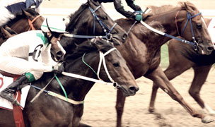 horse racing best odds
