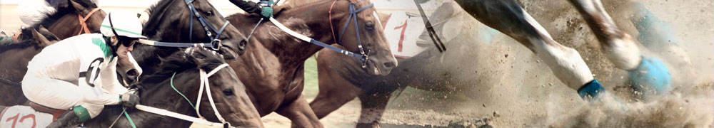 horse racing best odds