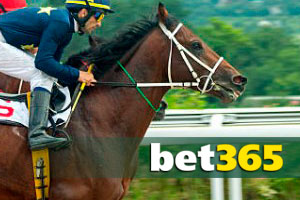  Bet365 horse racing betting